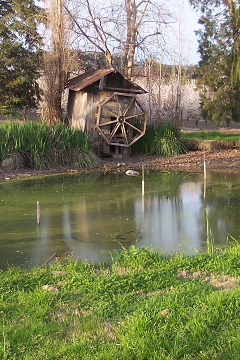 Image of Bloomingcamp Ranch in Oakdale California