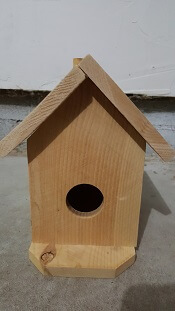 Front Of Bird House